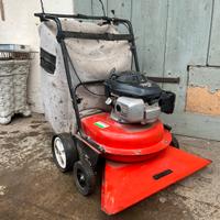 Aspira foglie motore Honda
