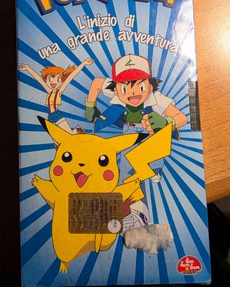 Casetta "Pokemon"