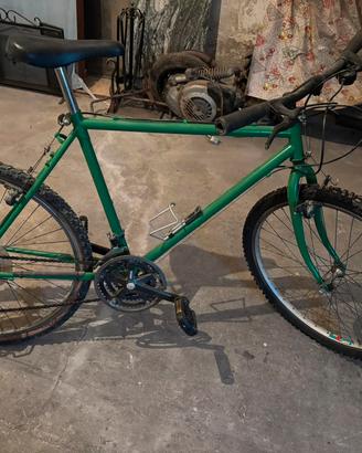 2 Bici