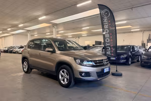 Volkswagen Tiguan 2.0 TDI 110 CV Trend & Fun BlueM
