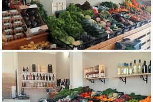 Attivita' Commerciale Generi Alimentari