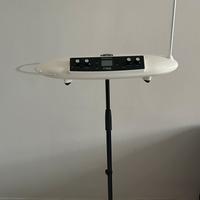 Moog Theremini