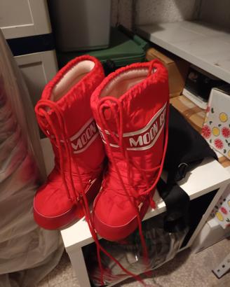 mammut neve 