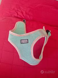 Pettorina anione taglia s