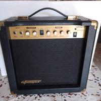 Amplificatore Stinger