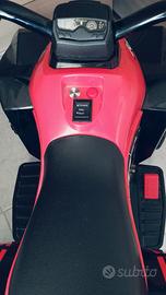 quad elettrico 