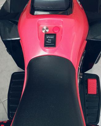 quad elettrico 