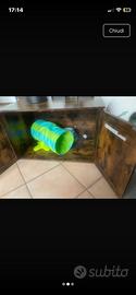 Armadietto porta lettiera gatto