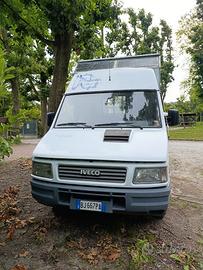 Van trasporto cavalli Iveco Daily 