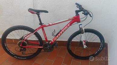 BICICLETTA CANNODALE 