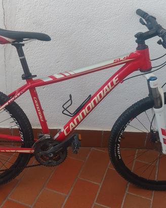 BICICLETTA CANNODALE 