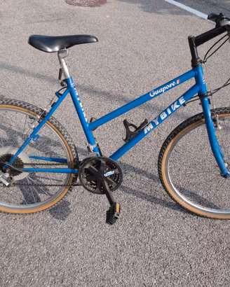 Mountain bike