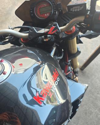 jawasaki z 1000