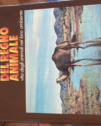 GRANDE ENCICLOPEDIA REGNO ANIMALE Fabbri 4 volumi