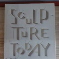 Sculture Today - Judith Collins -  Phaidon 2007