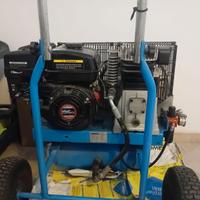 ABBACCHIATORE PER OLIVE CON MOTORE A SCOPPIO