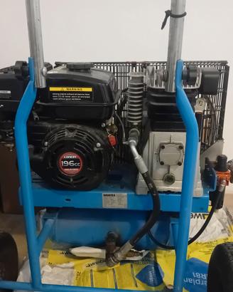 ABBACCHIATORE PER OLIVE CON MOTORE A SCOPPIO