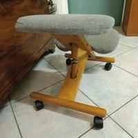 SEDIA ERGONOMICA SVEDESE