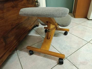 SEDIA ERGONOMICA SVEDESE