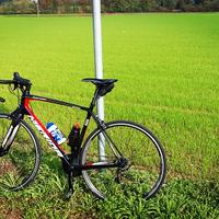 Scultura Merida 5000 