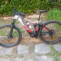 Bici elettrica
