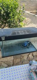 Acquario 100 litri