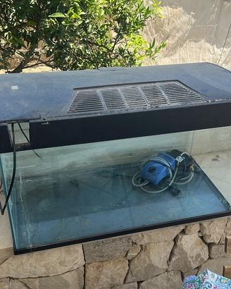 Acquario 100 litri