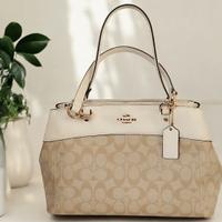 Borsa Coach 