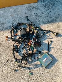 cablaggio honda b16a2 obd1 + ecu Mugen power