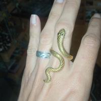 anello serpente