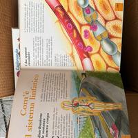 Fascicoli il corpo umano