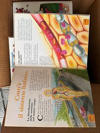 Fascicoli il corpo umano