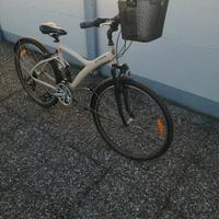 bicicletta bitwin