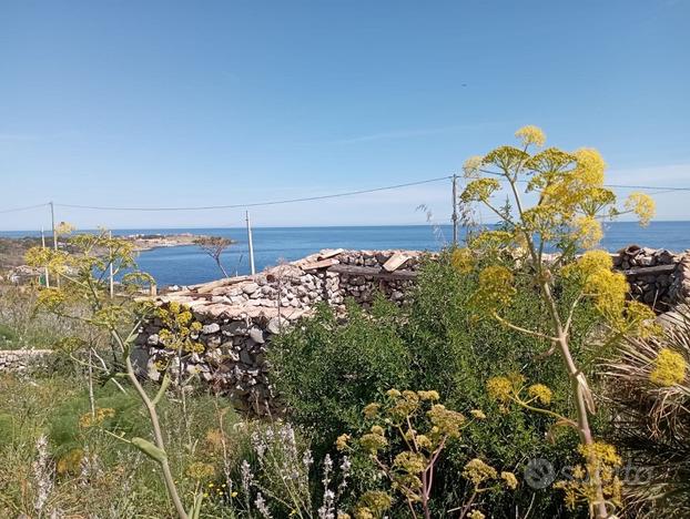 SAN VITO LO CAPO Rudere con Terreno di mq 1720