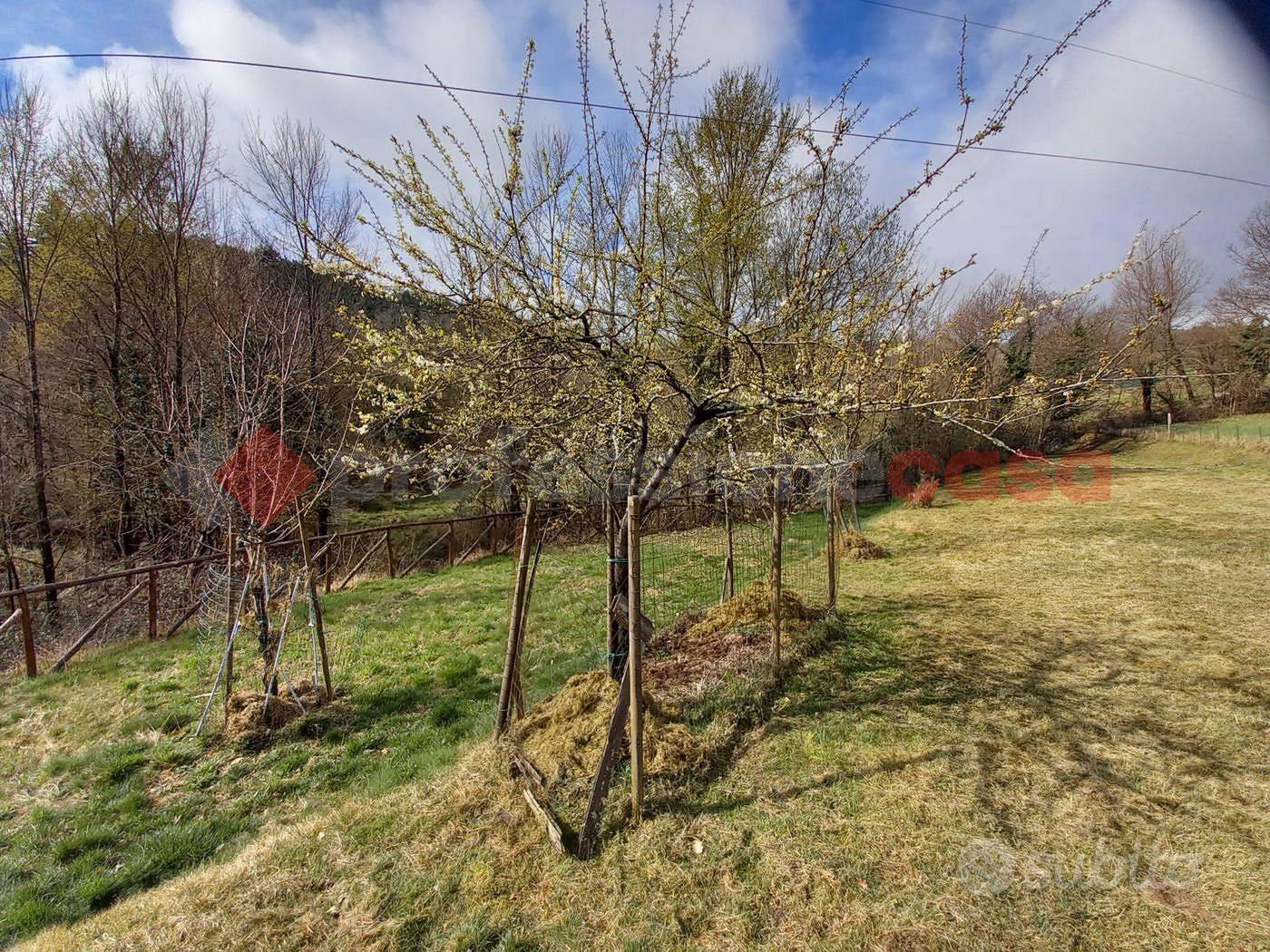 Casa – Villa Collemandina, Lucca - Vista 3