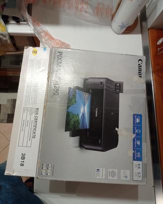 Stampante Canon Pixma MG4250