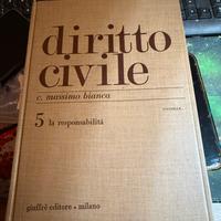 Diritto civile 5 la responsabilità
