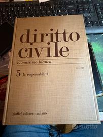Diritto civile 5 la responsabilità