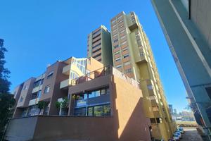 Cantina Roma [Brav. Byron65VRG]