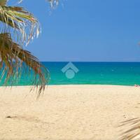 TER. AGRICOLO A NICOTERA