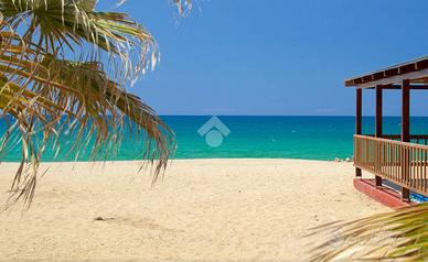 TER. AGRICOLO A NICOTERA