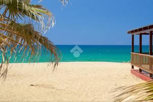 TER. AGRICOLO A NICOTERA