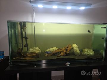 Acquario 120x40x50