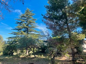 Terreno con casa da ristrutturare