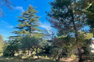 Terreno con casa da ristrutturare