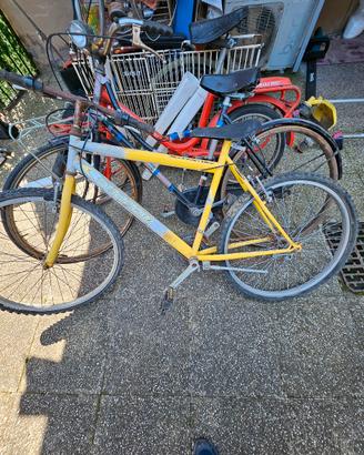 bici mtb Snadow 