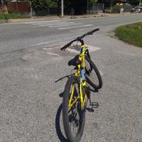 bici MTB