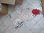 Immagine 5