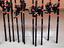 Immagine 3