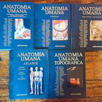 Trattato di anatomia umana Nuovo